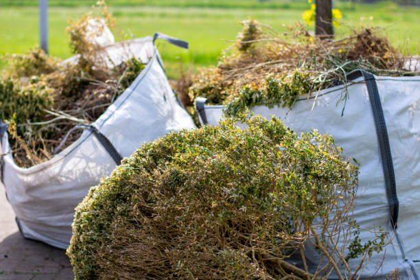 Best Attic Cleanout Services  in Wyoming, IL